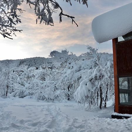 Chalet Cipres ラス・トランカス エクステリア 写真