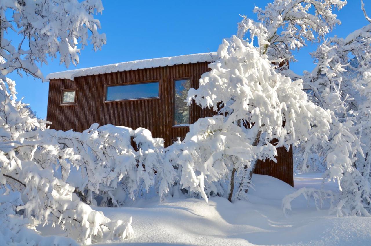 Chalet Cipres ラス・トランカス エクステリア 写真