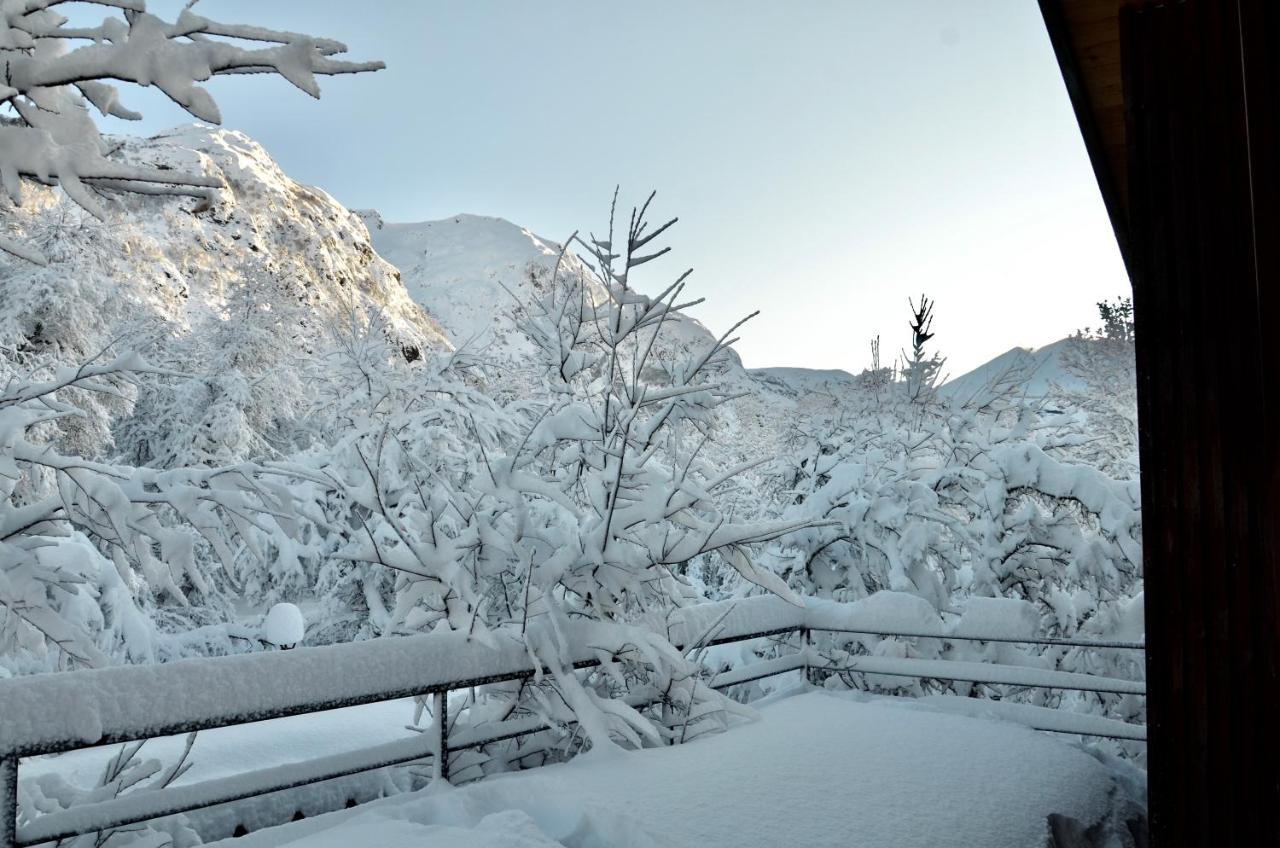 Chalet Cipres ラス・トランカス エクステリア 写真